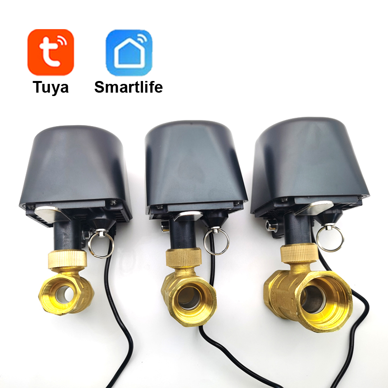 Smart Garden Sensors - Tuya WiFi ou Zigbee vanne d'eau