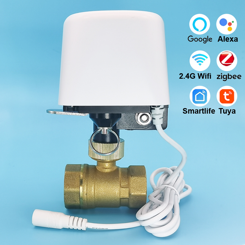 Vanne d'eau intelligente Tuya  - Smart Garden Home avis et prix