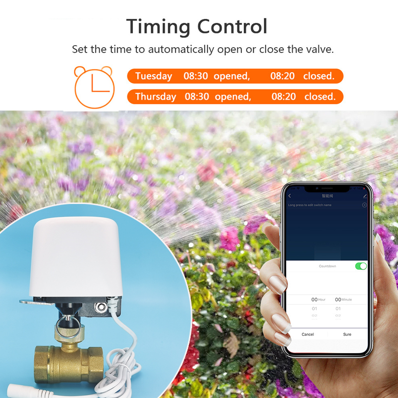 Vanne d'eau intelligente Tuya  - Smart Garden Home avis et prix