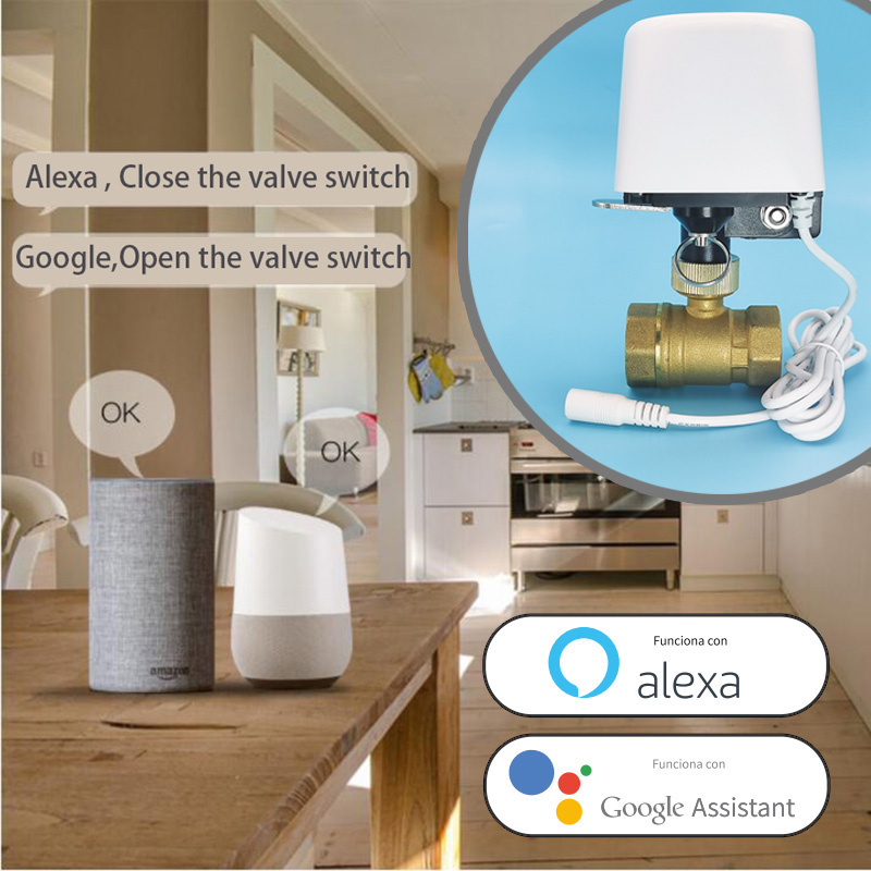 Minuteur d'arrosage intelligen - Smart Garden At Home avis et prix