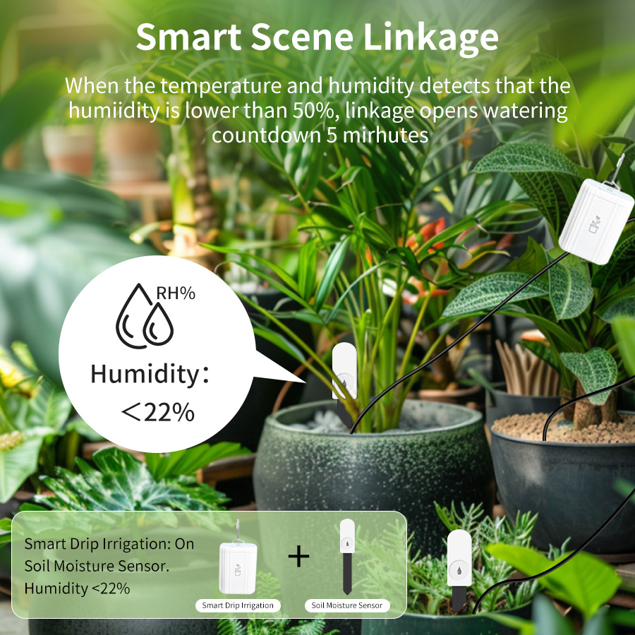 Testeur de sol intelligent Zig - Smart Garden Sensors avis et prix