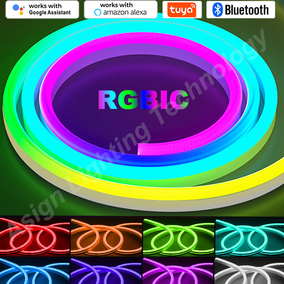 RGBIC LED bande néon 12V 96LED - Smart Led Garden avis et prix