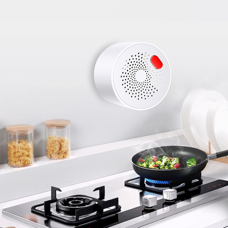 Tuya-Capteur de gaz naturel do - Smart Garden Home avis et prix