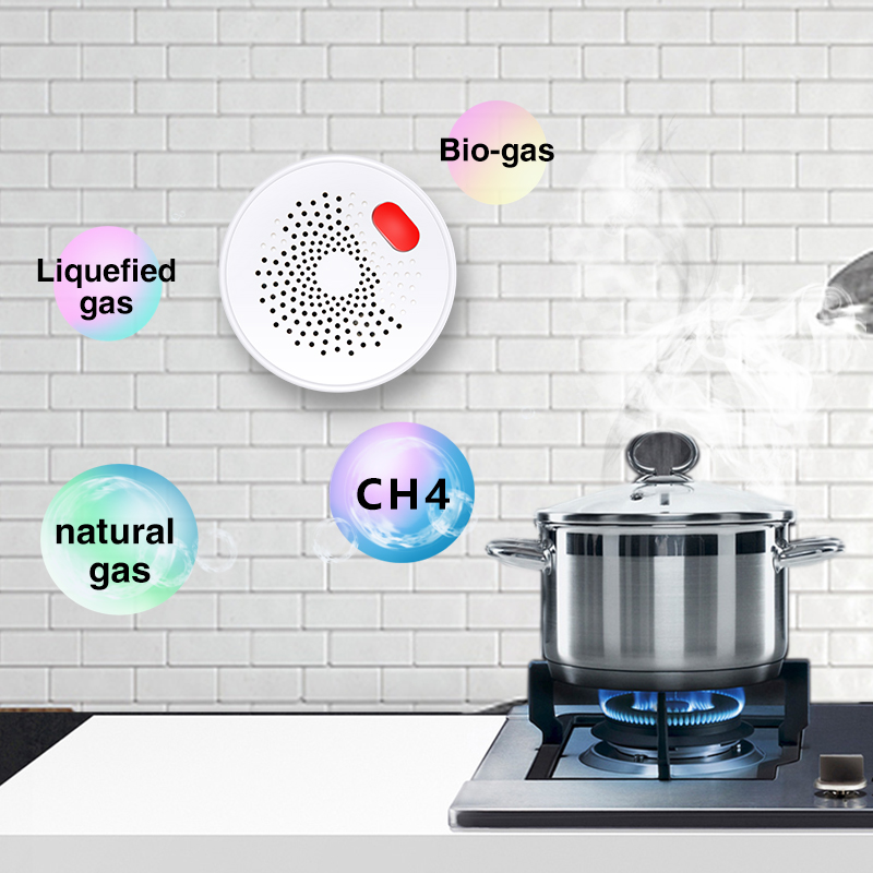 Tuya-Capteur de gaz naturel do - Smart Garden Home avis et prix